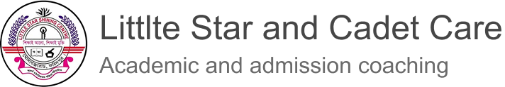 Little Star Logo